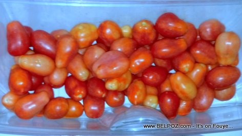 In March 2016, we bought all these fresh tomatoes in Haiti for 75 gourdes