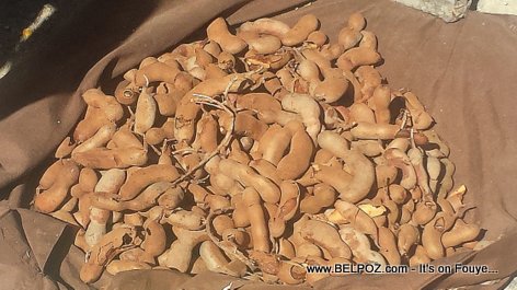 Tamarind from Haiti - Tamarin for sale at the Marketplace