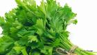 Parsley Health Benefits - Healthy Foods that's good for you
