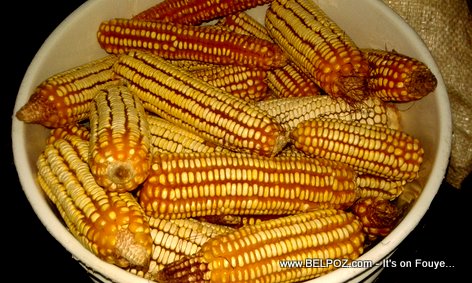 Haiti: Mayi Sèch - Dried / Dehydrated Corn