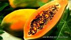 Papaya - Nutrition and Health Benefits