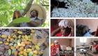 How Haitian women are transforming Cocoa to Chocolate in Haiti