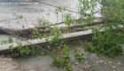 Haiti: A tree knocks out lightpole during heavy rain