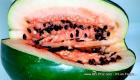 Watermelon is like a Natural Viagra - Watermelon may offer Viagra-like effects