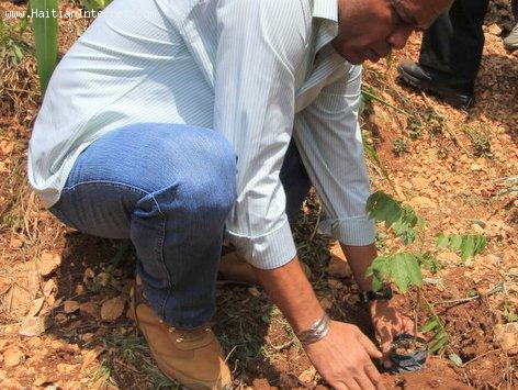 Haiti President Michel Martelly Planting a Tree