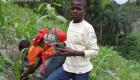 Haitian Mormons Planting Trees In Haiti