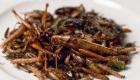 Deep fried insects... A Delicacy in Thailand and Cambodia