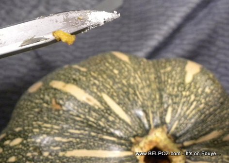 Cocaine filled pumpkin brought to Canada by Dominican woman