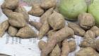 PHOTO: Haiti - Lo Patat - How sweet potato is sold in street markets