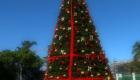 PHOTO: Haiti - Christmas Tree at the National Palace