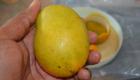Haitian Mango - It's Mango season in Haiti!